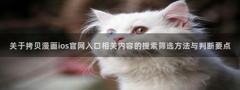 羞羞漫画网站地址
