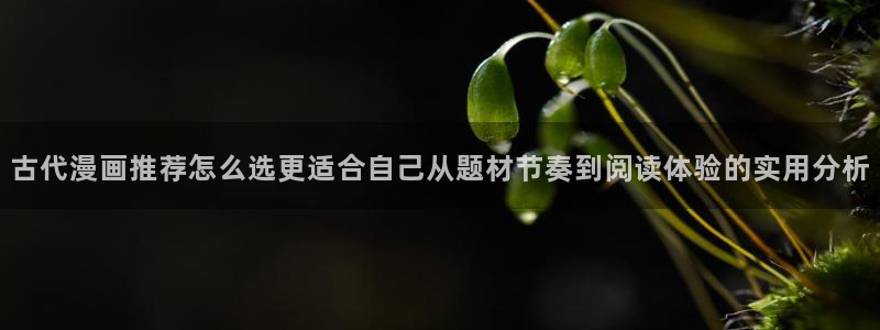 羞羞漫画最新网页入口